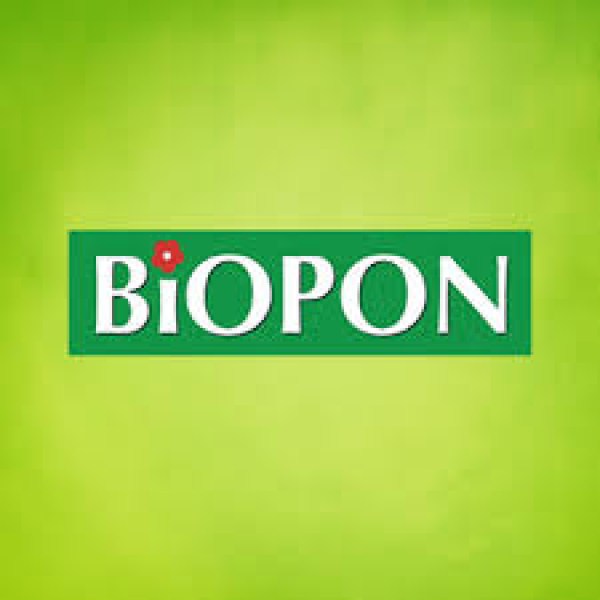 logo6