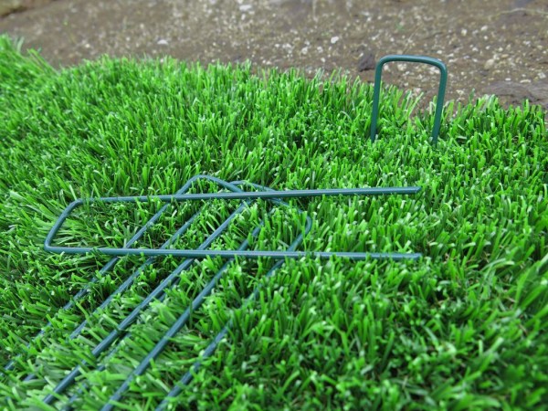 2007291_4-1731581386