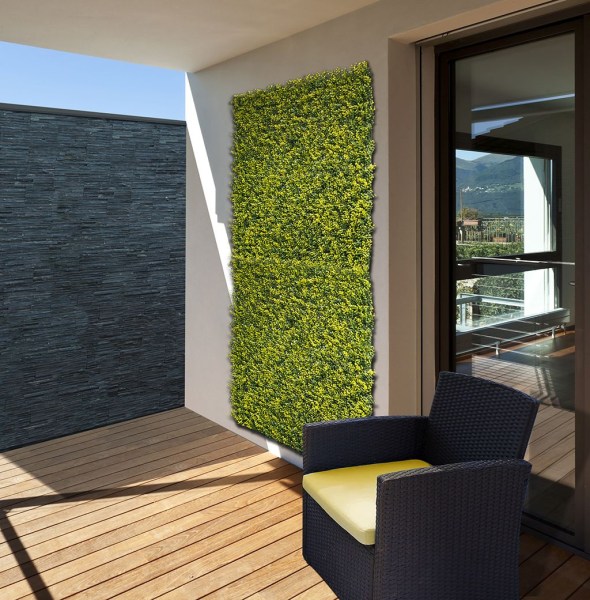 2017253_2-1729061716