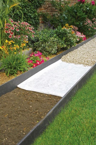 2017729_2-1731574302