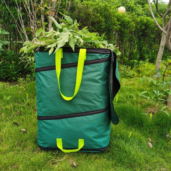 2019938_2-1731573581