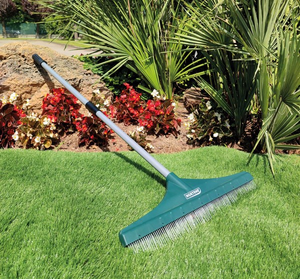 2019996_2-1731579399