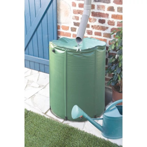 2020501_2.jpg-1770192343