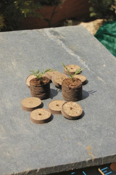 2020761_2-1731568817