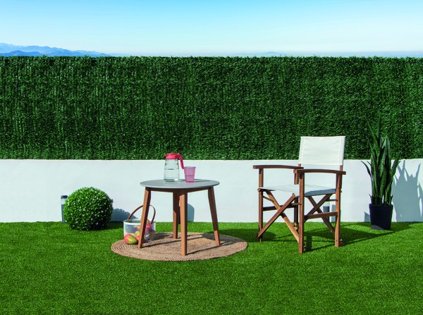 2021386_4-1769503591