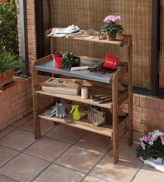 2021768_2-1731569364