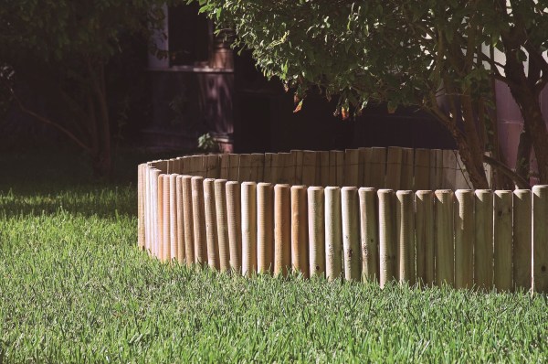 2021866_4-1731576261