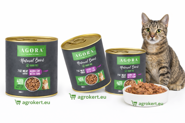 20a22ea5-bb50-491f-a7d5-71005d03f200-1773222258