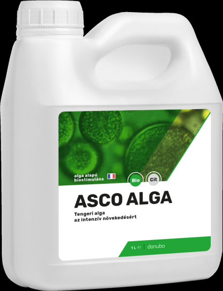 asco_alga_1l-1729755564