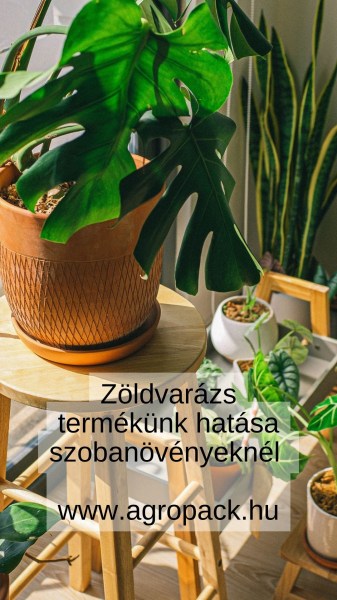 indoor-plants-1750229837