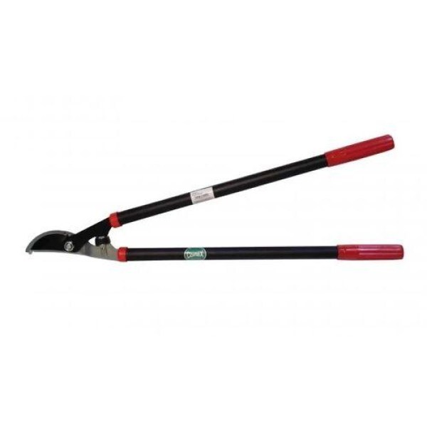 karo2201.jpg-1731404504