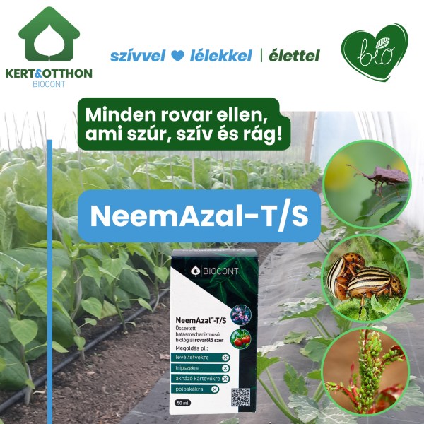 neemazal-szivo-rago-szuro-rovarok-ellen-1785481885