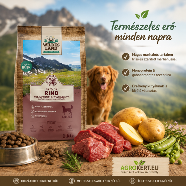 wildesland-1783579104
